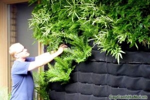 trồng cây trên tường bằng túi vải