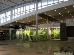 tường cây của sân bay