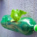tường cây xanh xã hội