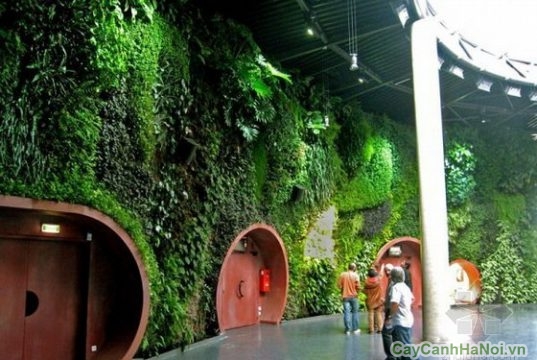 vườn tường công cộng