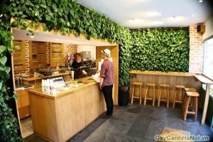 vườn tường cho quán cà phê