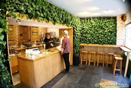 vườn tường cho quán cà phê
